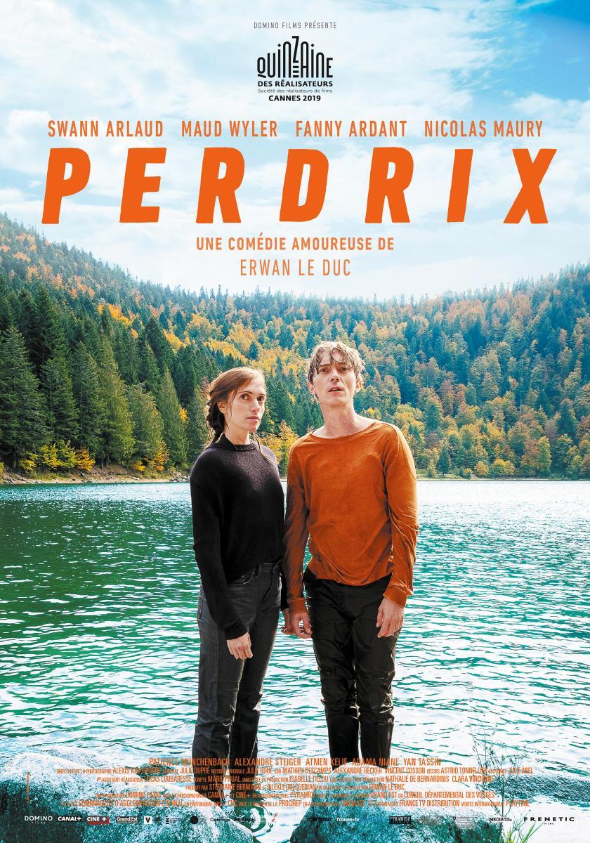 perdrix-432337720-large